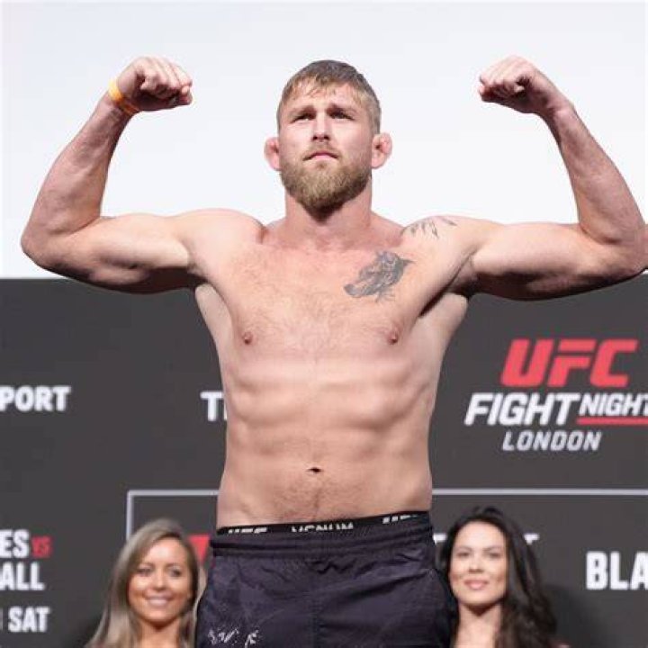 Alexander Gustafsson photo