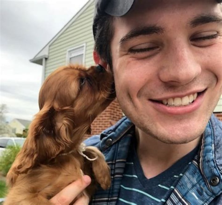 David Corenswet Pets