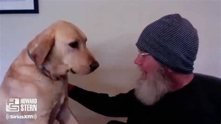 David Letterman Pets