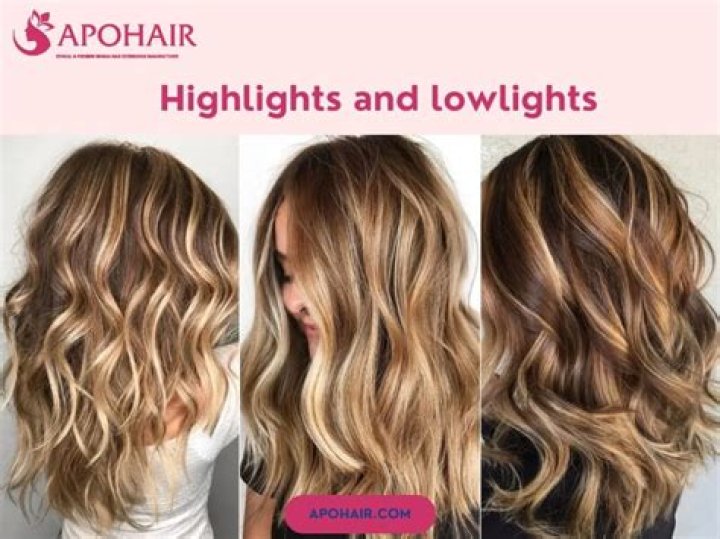 Hollyn Highlights