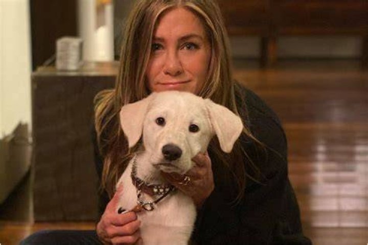Jennifer Aniston Pets