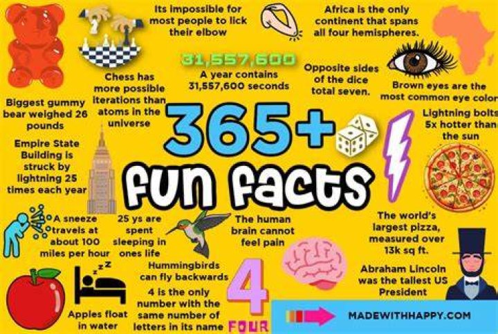 Lesser-known cool facts related to the life and career of model-turned politician Anastasia Deeva! Lesser-known cool facts related to the life and career of model-turned politician Anastasia Deeva!