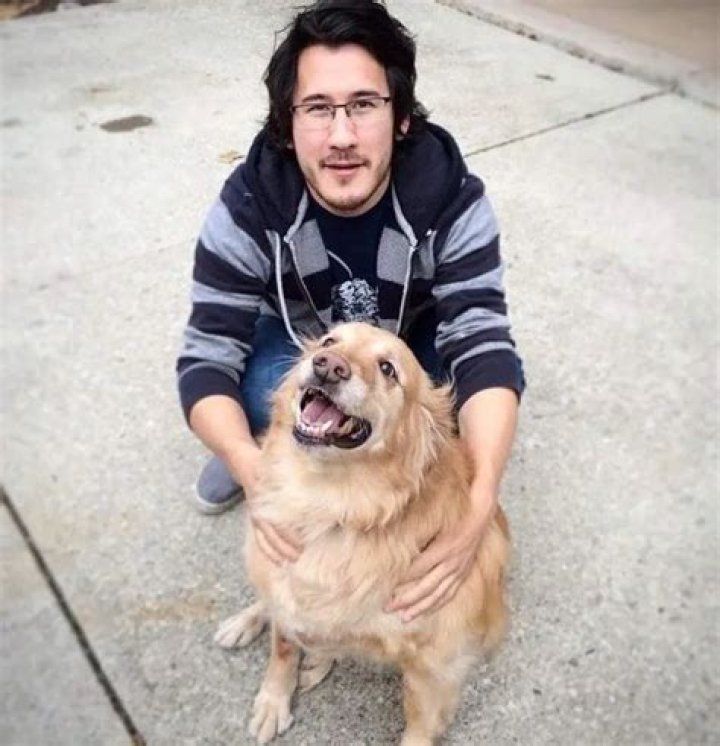 Markiplier Pets