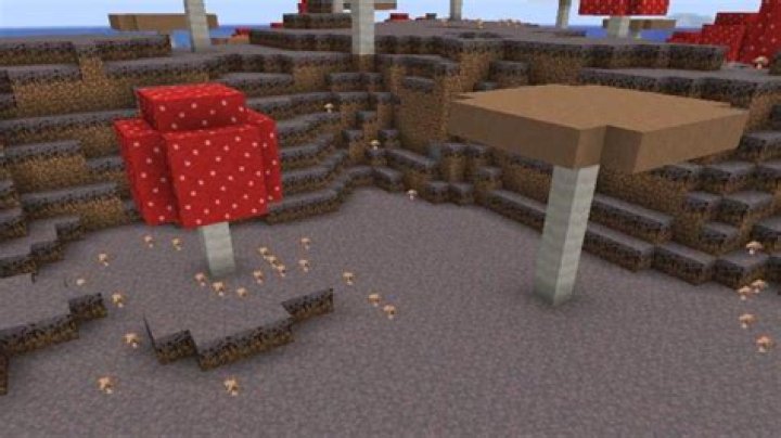 Mushroom in Minecraft