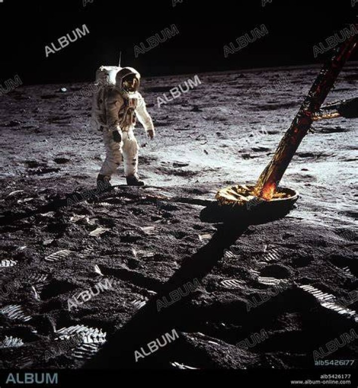 Neil Armstrong Highlights