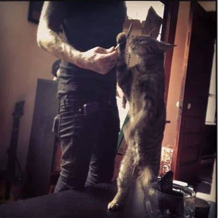 Ricky Olson Pets
