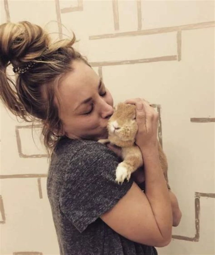 Simon the Silly Rabbit Instagram