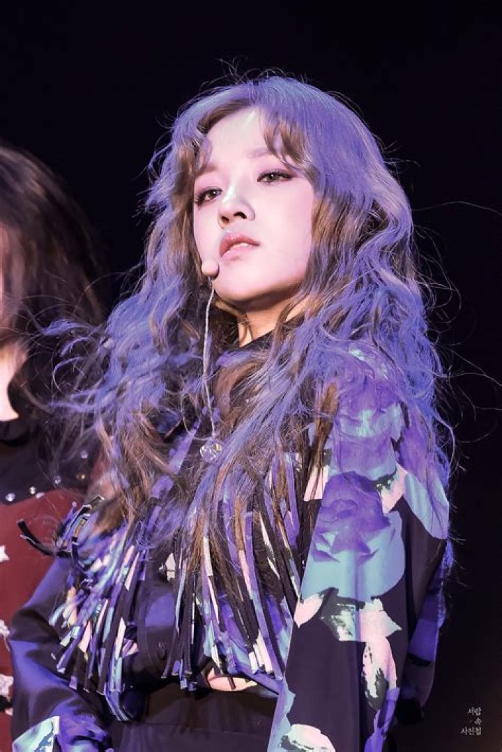 Song YUQI's pet No Pets (YUQI)