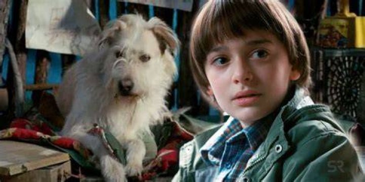 Stranger things dog