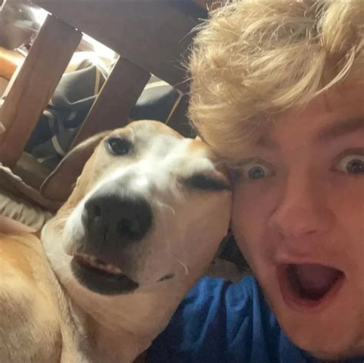 TommyInnit Pets
